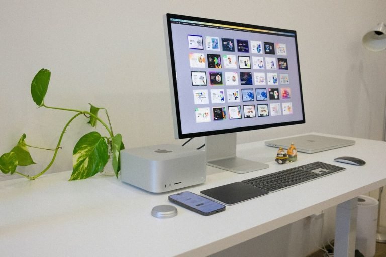 monitor-srebrni-racunar-biljka