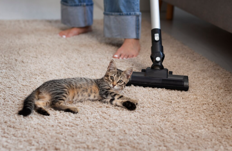 Temeljno uklanjanje skrivenih nečistoća produžava vek trajanja tekstilnih podnih obloga i nameštaja